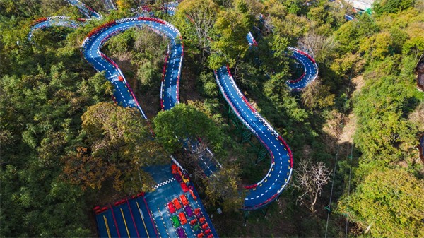 山地滑車(chē)廠家